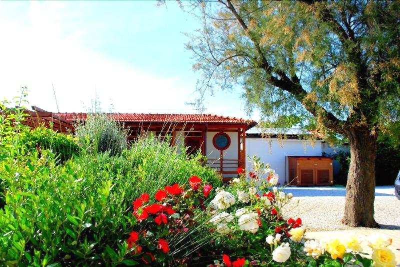 La Versiliana Hotel - Genel