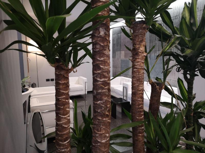 Hotel Daunia - Lobi