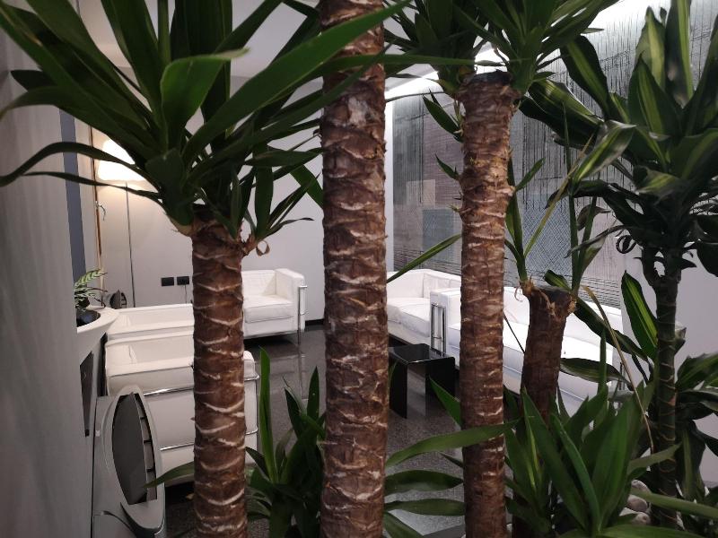 Hotel Daunia - Lobi