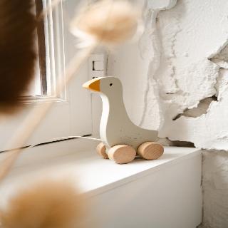 Mother Goose Hotel fotoÄŸrafÄ±