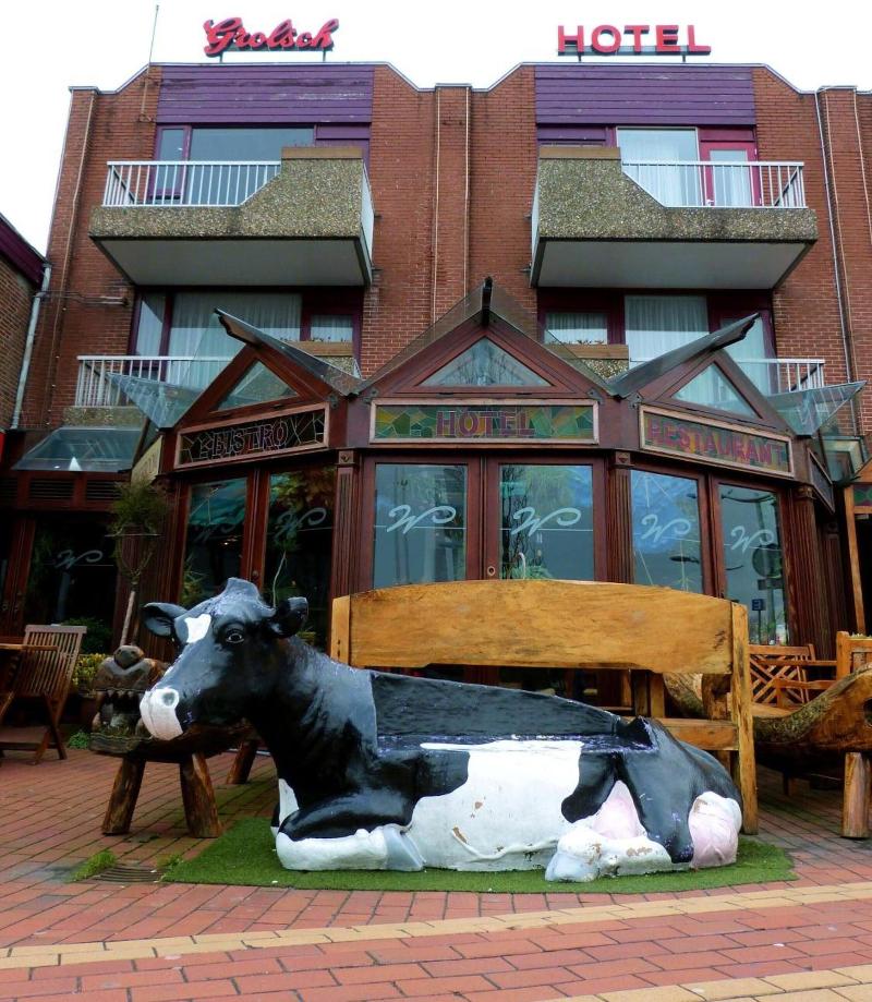 Hotel Wienerhof - Genel