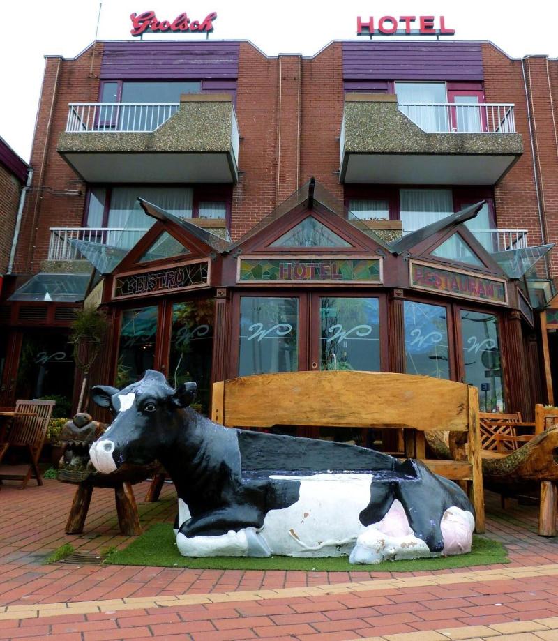 Hotel Wienerhof - Genel