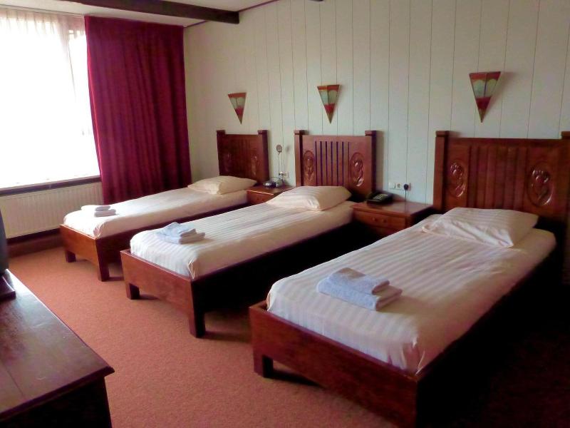 Hotel Wienerhof - Oda