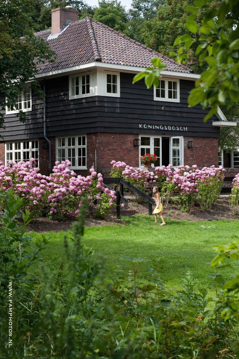 Hotel Huize Koningsbosch - Genel