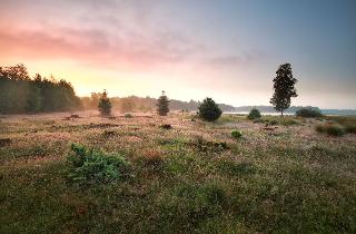 Hotel De Bonte Wever Assen fotoÄŸrafÄ±