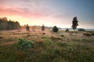 Hotel De Bonte Wever Assen fotoÄŸrafÄ±