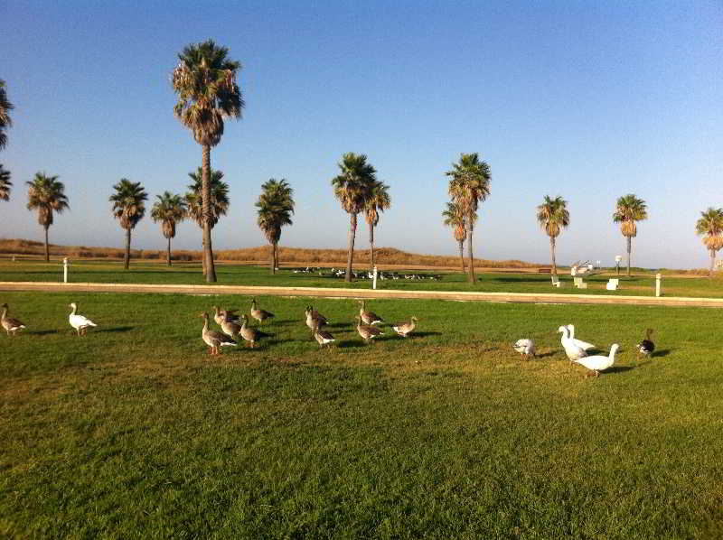 Life Apartments Costa Ballena
