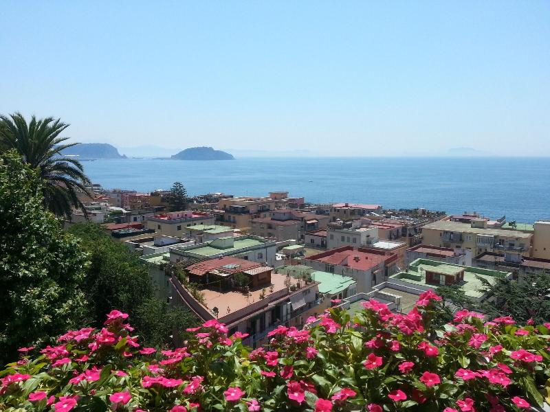 Villa Avellino - Genel