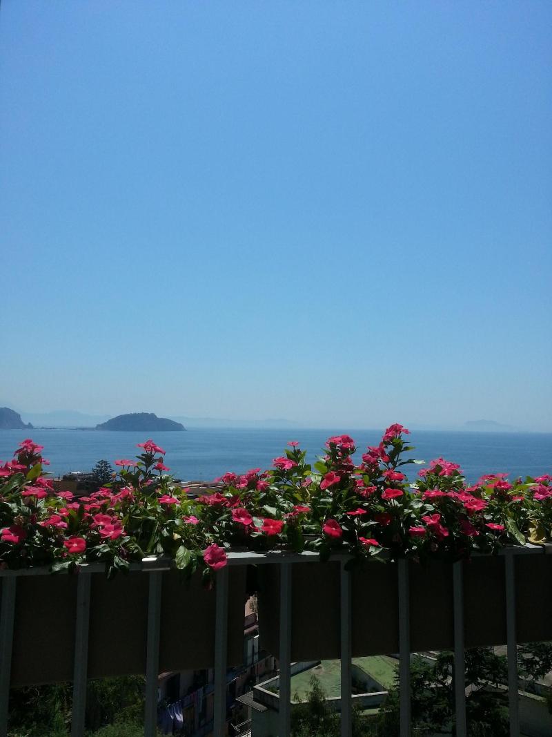 Villa Avellino - Genel