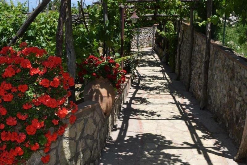 B&B Il Grappolo - Genel