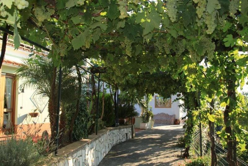 B&B Il Grappolo - Genel