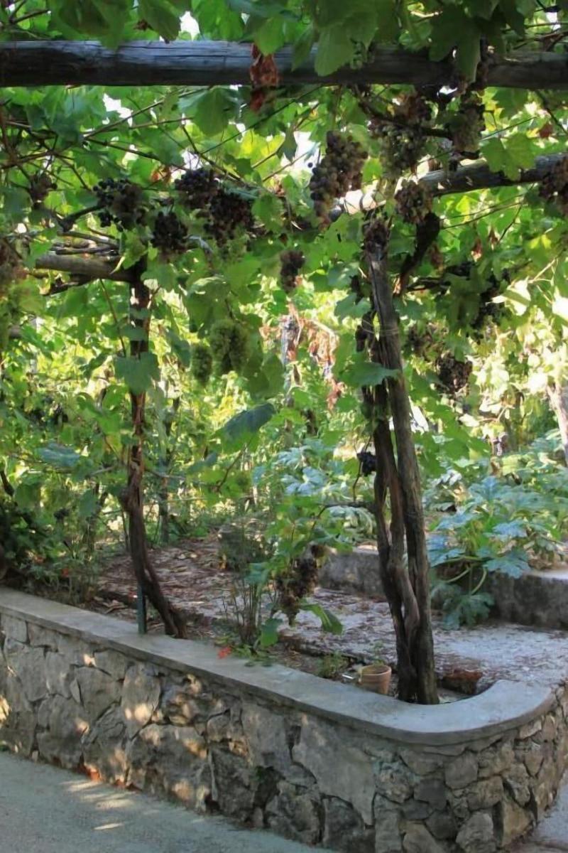 B&B Il Grappolo - Genel