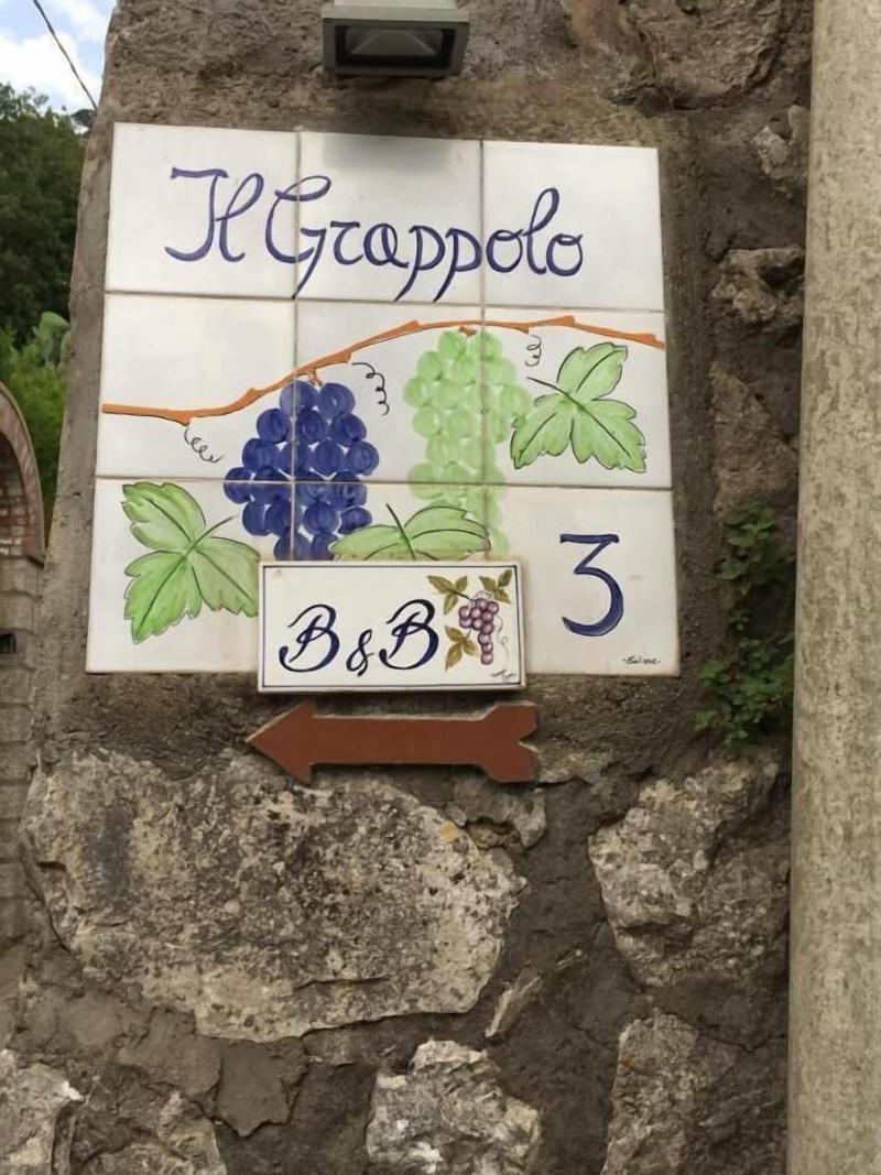 B&B Il Grappolo - Genel
