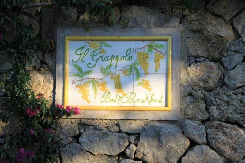 B&B Il Grappolo - Genel