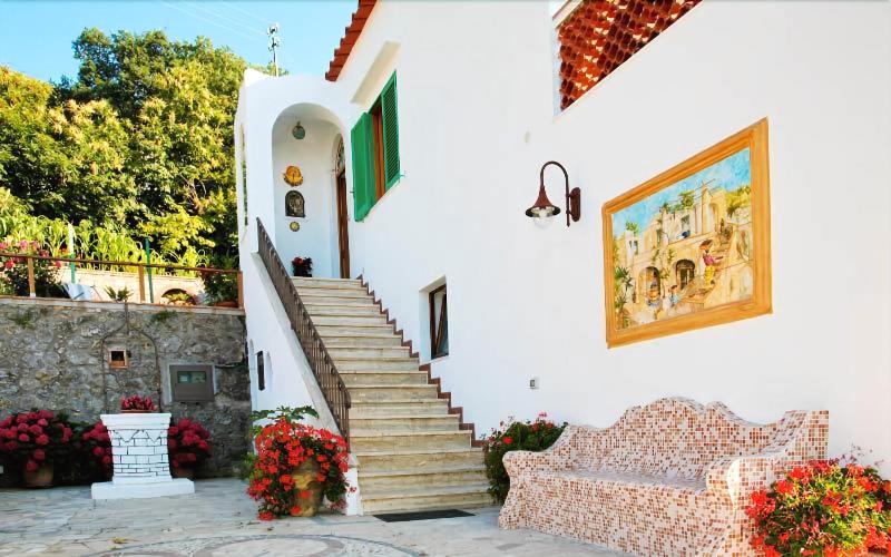 B&B Il Grappolo - Genel