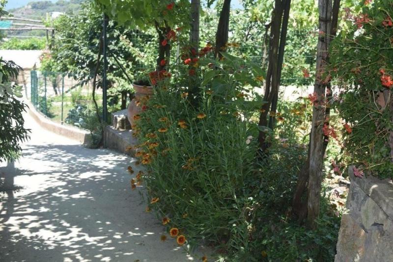 B&B Il Grappolo - Genel