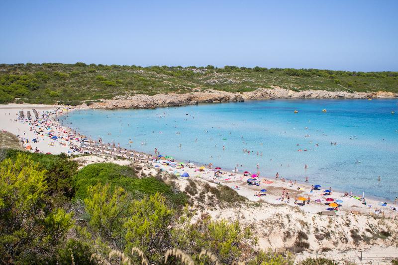 Beach Club - Genel