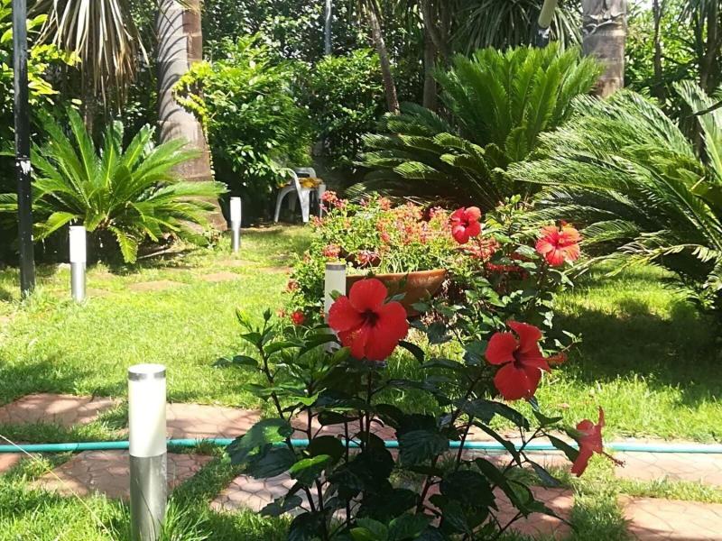 Beatrice Home B&B - Genel
