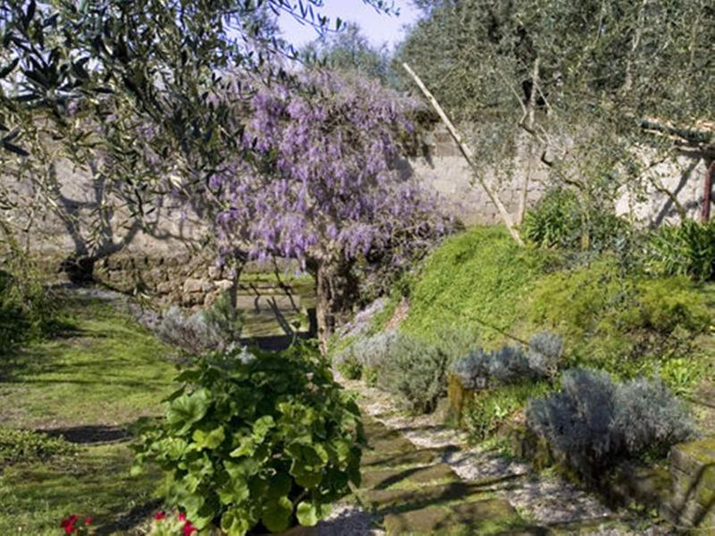Chalet Lidia - Genel