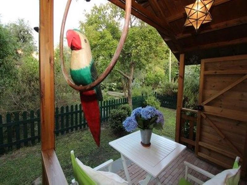 Chalet Lidia - Genel