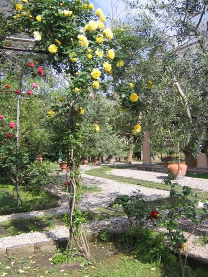 Chalet Lidia - Genel