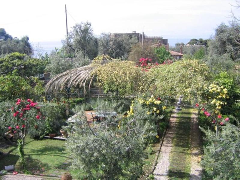 Chalet Lidia - Oda