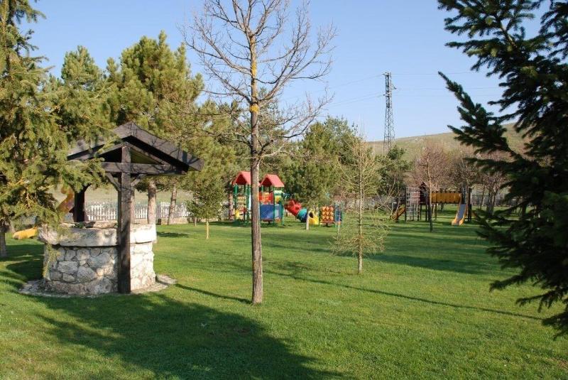 5 Miglia Hotel & SPA - Aktivite