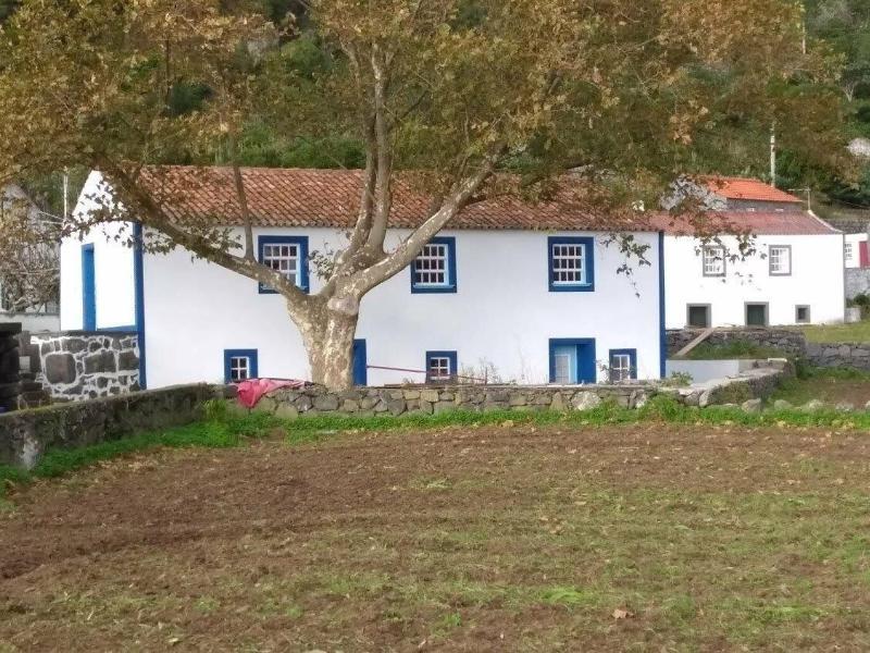 Casas Dos Vimes - Oda