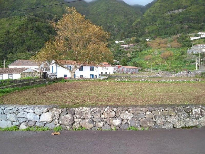 Casas Dos Vimes - Oda