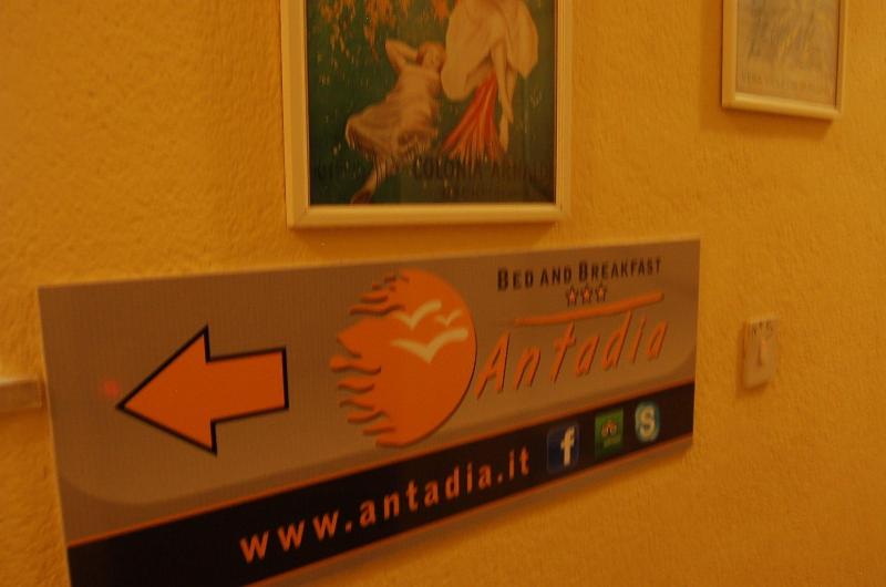 Antadia B&B - Lobi