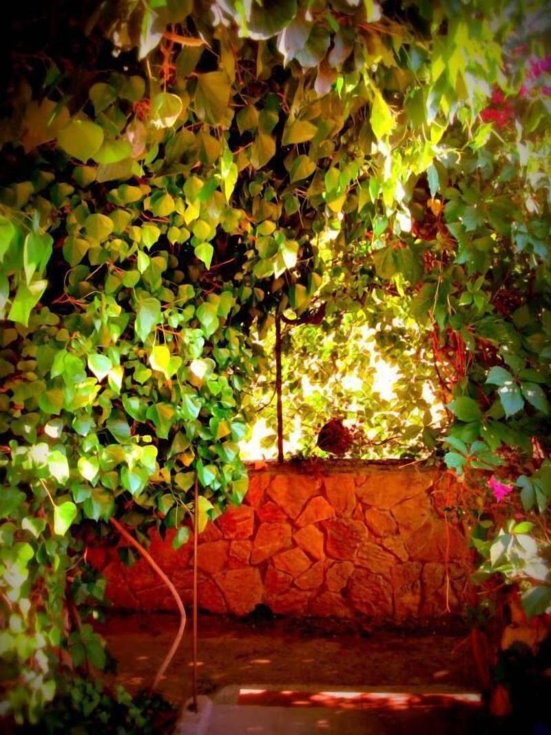 Villa Ambra B&B - Genel