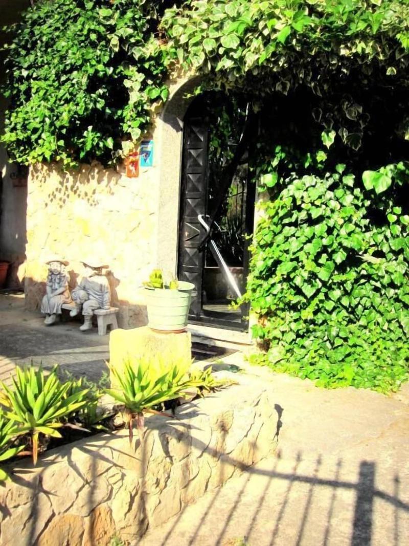Villa Ambra B&B - Genel