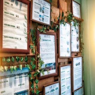 Urban Garden Hostel fotoÄŸrafÄ±