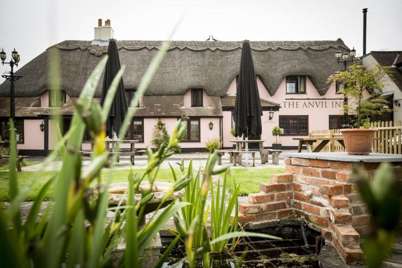 The Anvil Inn - Genel
