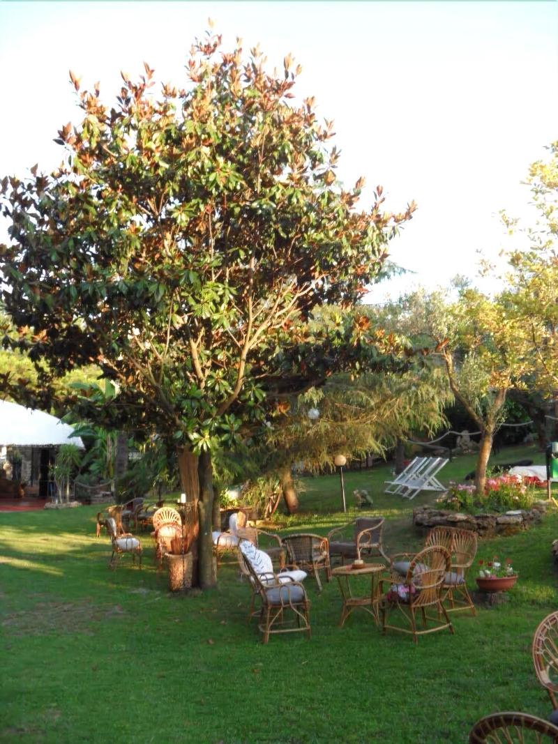 Hotel Il Corsaro - Genel