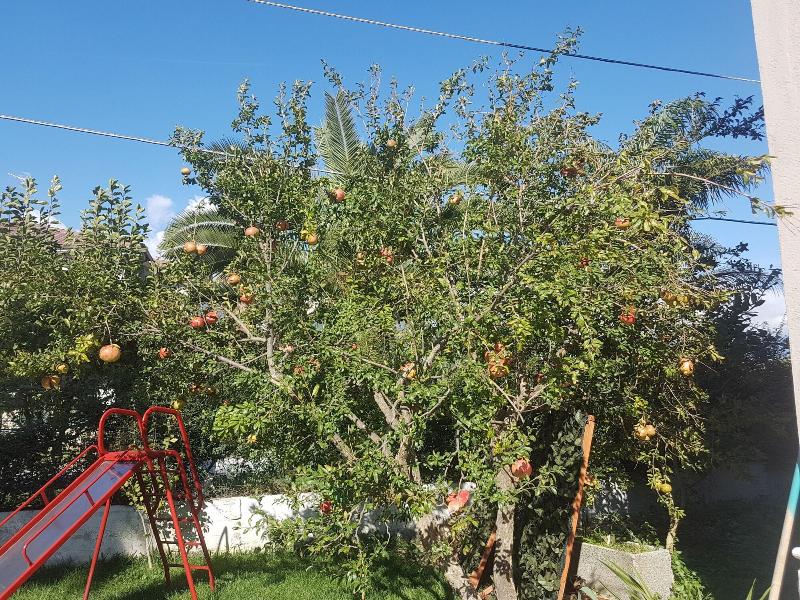 B&B Magna Grecia - Aktivite