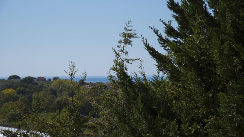 Villa Tresino Appartamenti B&B - Genel