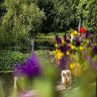 Mercure Shrewsbury Albrighton fotoÄŸrafÄ±
