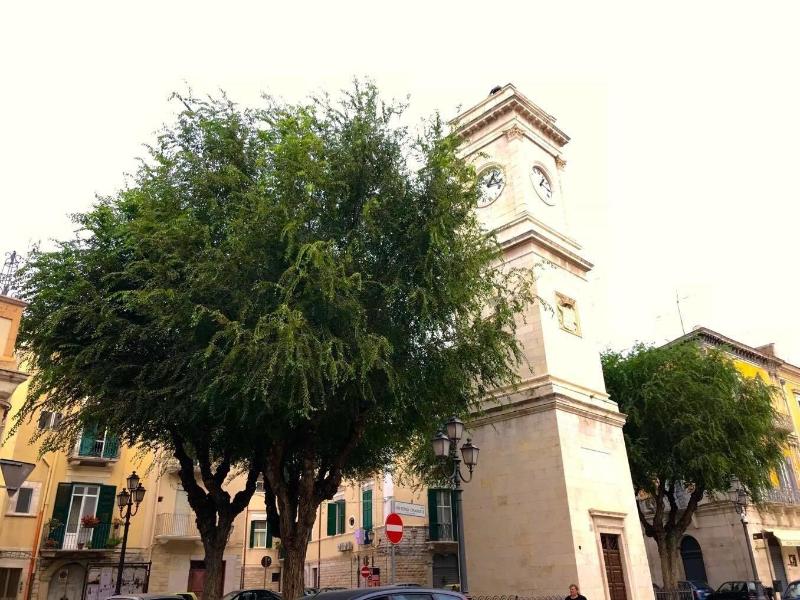 B&B Le Statuine Guesthouse - Oda