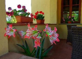 Torrebianca Tuscany otel fotoğrafı