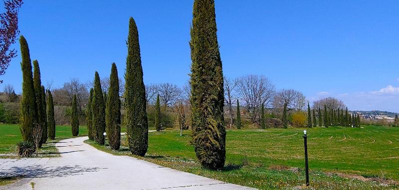 Torrebianca Tuscany - Genel