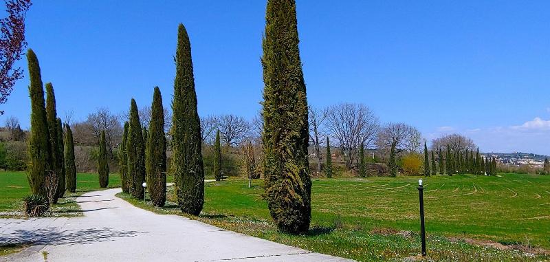 Torrebianca Tuscany - Genel