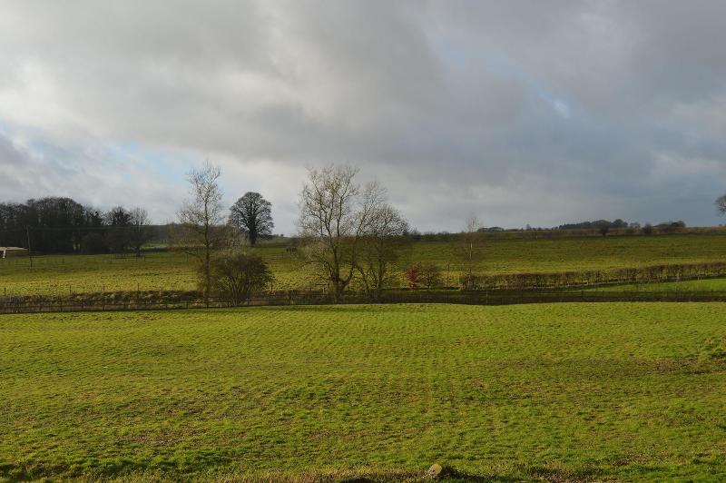 Elderbrook House - Oda