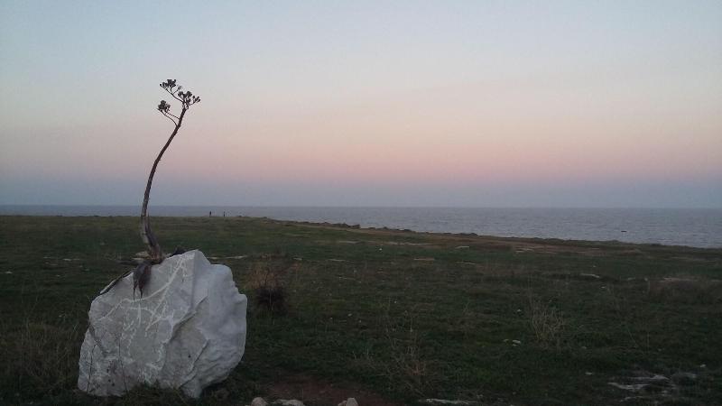 La Casa Di Aneupe - Genel