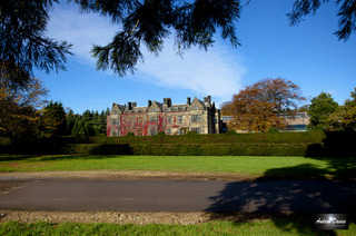 Gisborough Hall Hote fotoÄŸrafÄ±