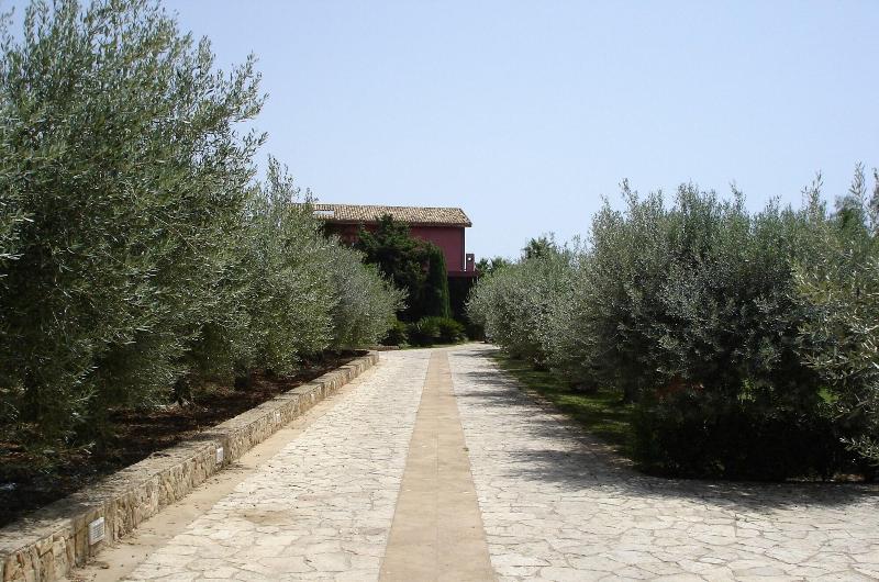 Casarealia - Genel