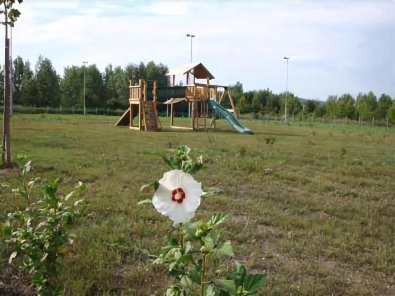 Szépia Bio & Art Hotel - Aktivite