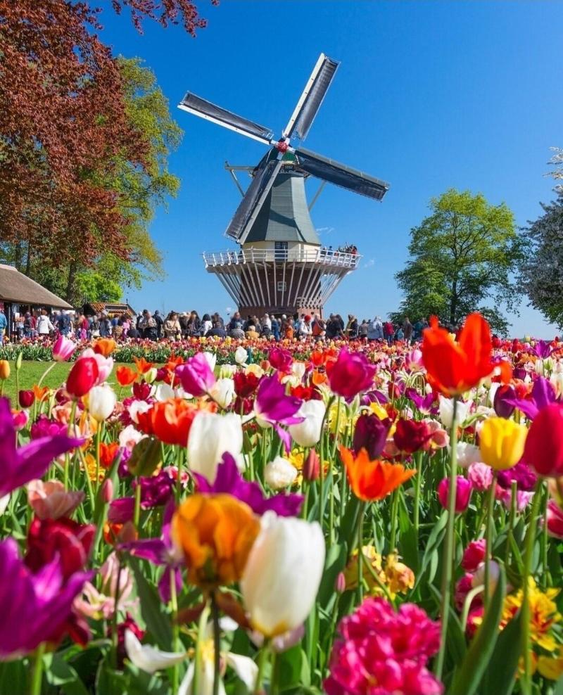 Hotel De Koophandel - Genel