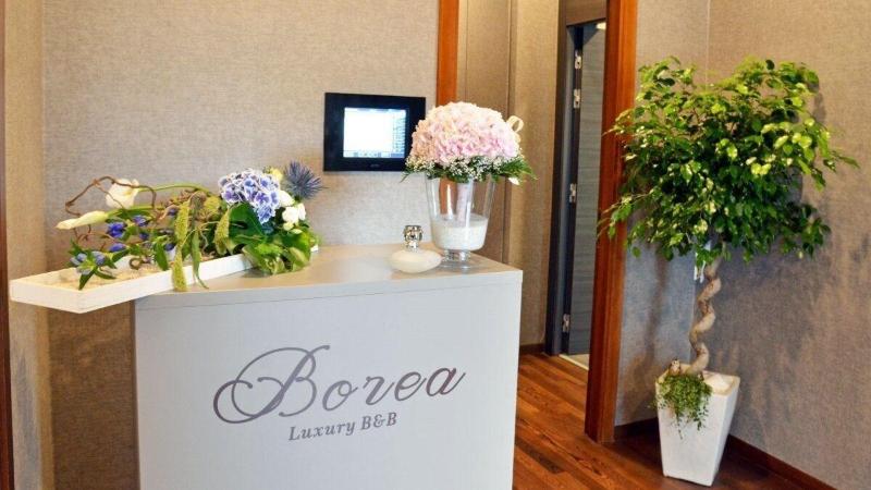 Borea Luxury B&B - Lobi