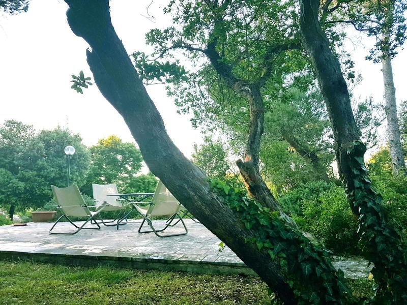 Villa Cenzina B&B - Genel